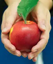 Obst Obst